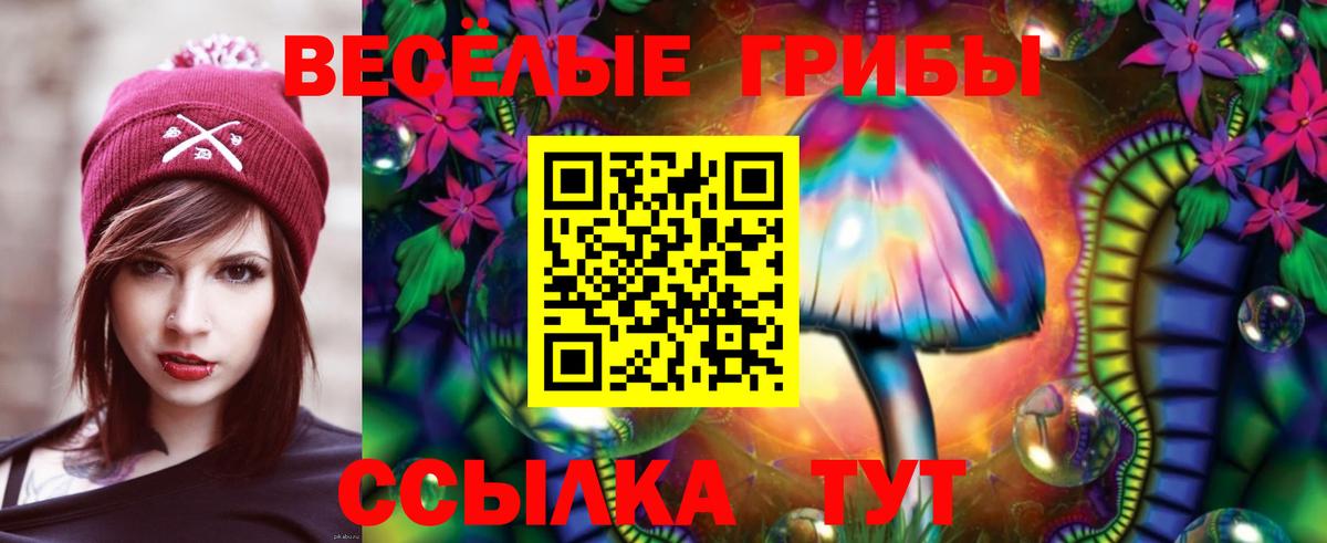 где найти   Псилоцибиновые грибы мицелий  Конаково  Вход с VPN  Псилоцибиновые грибы Psilocybine cubensis 